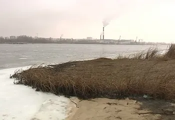 Мазутные пятна на Волге в районе Вакарёво