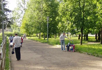 Ярославцы смогут принять участие в обсуждении благоустройства дворов