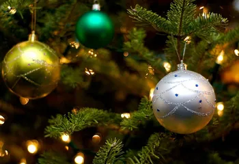 Новогодние программы в Ярославле пройдут во всех районах города