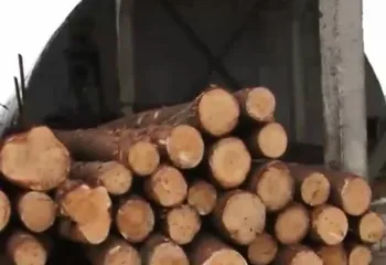 В Кузнечихе арестовали деревообрабатывающий цех