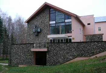 Больница в наукограде Борке может закрыться