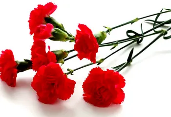 К юбилею Великой Победы в Ярославской области отреставрируют воинские захоронения и мемориалы