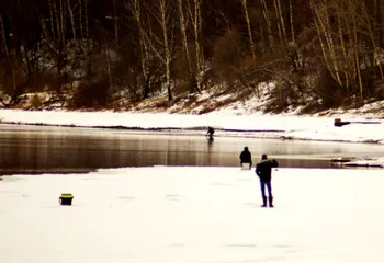 В ходе проверки выяснилось, что Волгу загрязняют все