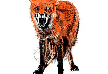 Бешенство «пробралось» в Ярославль в лице заражённой лисы