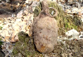 В центре Ярославля нашли боевую гранату