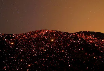 Экологи обнаружили первый тлеющий торфяник в Ярославской области