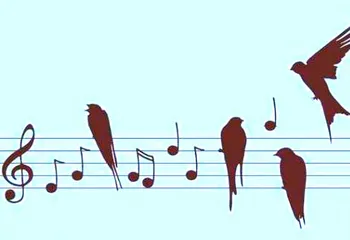 В Переславле-Залесском будет играть музыка