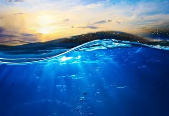 В Ростовском районе проверки выявили загрязнённую воду