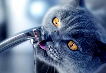 В Ростове Великом 2-го июля отключат воду