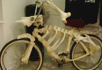 В Ярославле за день украли три велосипеда