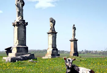 В Рыбинском районе жители обеспокоены тем, что возле их домов может разместиться кладбище