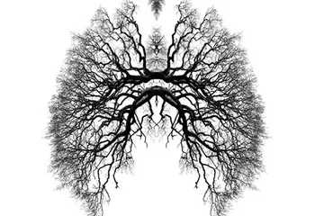 Сегодня в Ярославле и области отмечают Всемирный день охраны окружающей среды