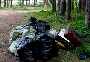 Ярославль тратит более миллиона в год на уборку несанкционированных свалок в одном районе города