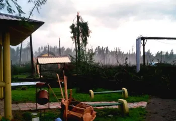 Ураган сравнял с землёй лесопарковую зону санатория под Ярославлем