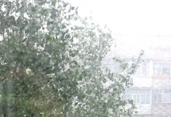 В Ярославле ожидается ненастье