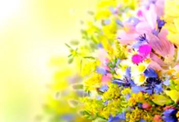 Цветники у часовни Невского в Ярославле официально открыты