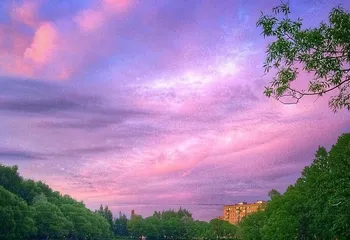 Ярославцы собирают подписи в интернете, чтобы благоустроить парк Нефтяников