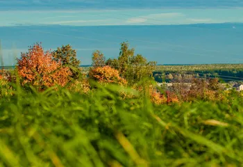 В Ярославской области «бабье лето» продлится ещё неделю