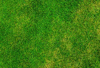 Вчера в Ростове Великом открыли стадион