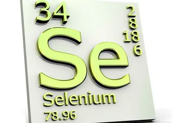 Завтра в Ярославль приедут учёные из десяти стран мира