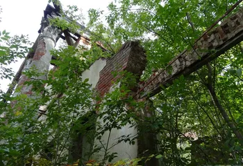 Общественность и власть выступили в защиту Петропавловского парка