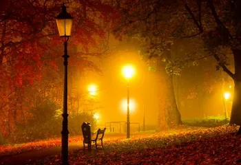 Посчитали: сколько в Ярославле неработающих фонарей