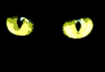 В регионе создают пилотный проект, направленный на усиление безопасности