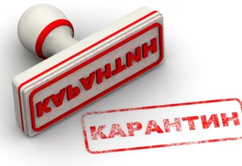 По всей Ярославской области могут ввести карантин по бешенству