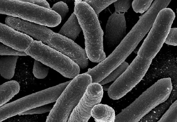 Еду для ярославских больниц готовили в условиях антисанитарии