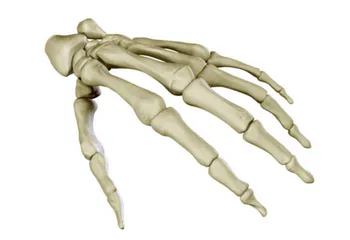 В Ярославле реконструируют один из уникальных хирургических центров