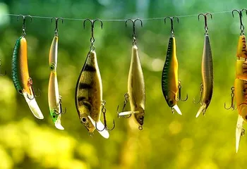 Рыбинского браконьера задержали под Тверью