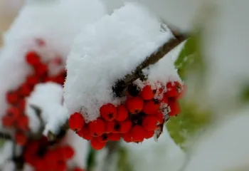 В Ярославскую область приходит похолодание