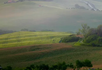 Неосвоенный участок в 5 гектаров изъяли у собственника под Переславлем-Залесским