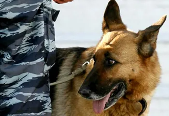 Вчера в Ярославле эвакуировали полиграфкомбинат в связи с сообщением о бомбе