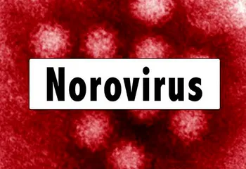 Выявлена причина массового отравления школьников в Ярославле