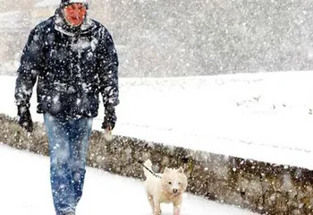 В январе в Ярославле выпало уже более месячной нормы осадков
