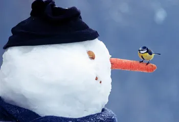 В Ярославле и области в ближайшие дни ожидается потепление