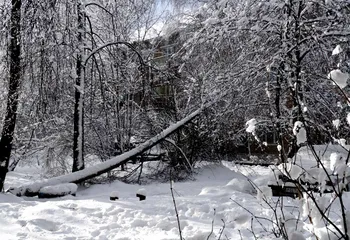 В Ярославле высота снежного покрова установилась на отметке в 47 см