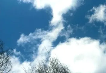 Гидрометцентр рассказал, какая погода ждёт ярославцев на этой неделе