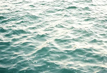 Прокуратура считает договор на реабилитацию озера Неро заведомо невыполнимым