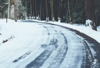 Мэрия Ярославля расторгнет контракт с генподрядчиком по уборке города