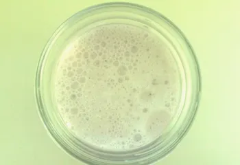 На рыбинском молокозаводе нелегально трудились мигранты