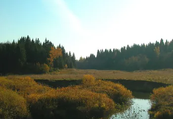 Особо охраняемая природная территория появится в Рыбинском районе