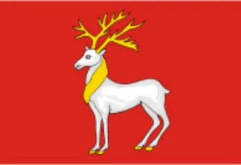 В Ростовском районе избрали нового главу