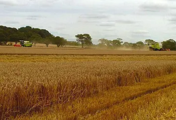 В Ярославской области "поддержат рублём" начинающих фермеров