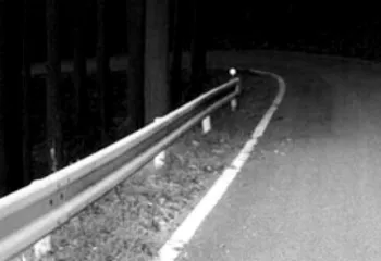 В 2015-м году в Ярославской области построили 9 км дорог