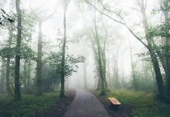 Два парка в Ярославле хотят сделать промышленными зонами