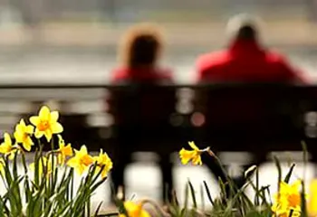 В Ярославле ожидается облачная погода