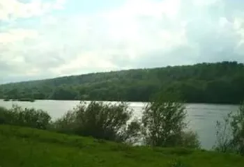 В Переславском районе нашли более 100 гектаров заброшенных земель