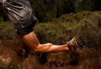 Беговую трассу в Яковлевском бору превратили в траншею